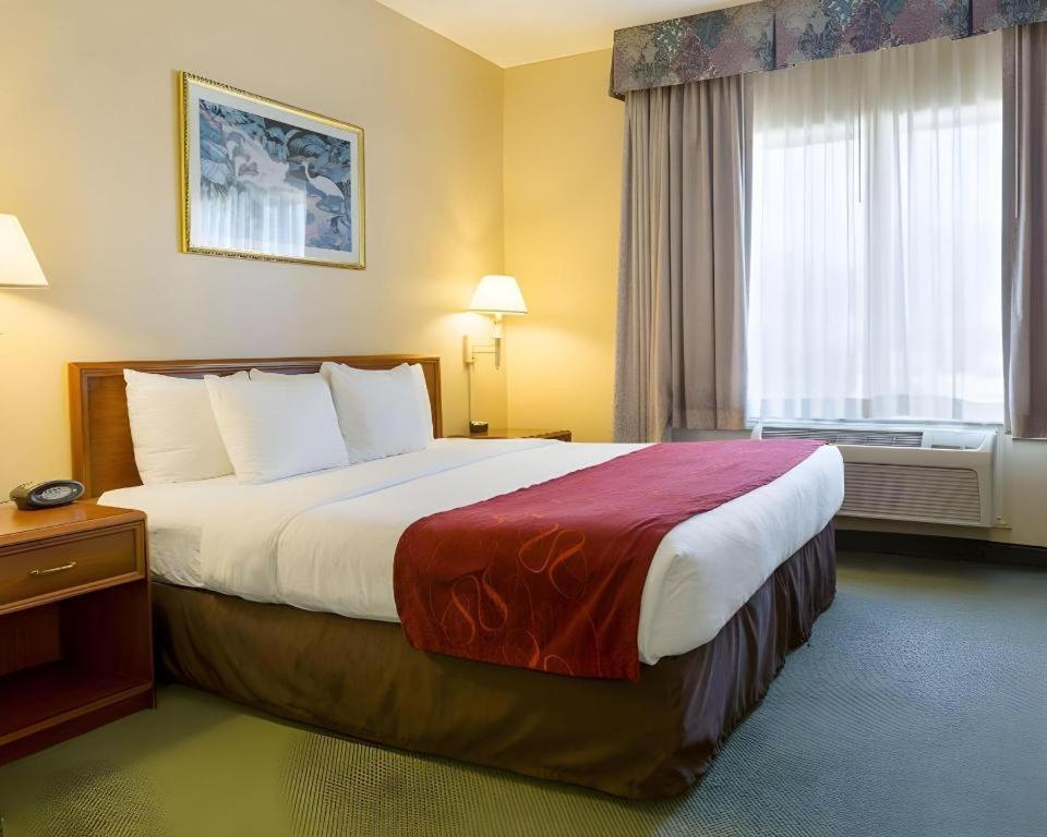לה פורט Comfort Suites מראה חיצוני תמונה